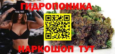 МДПВ Канаш