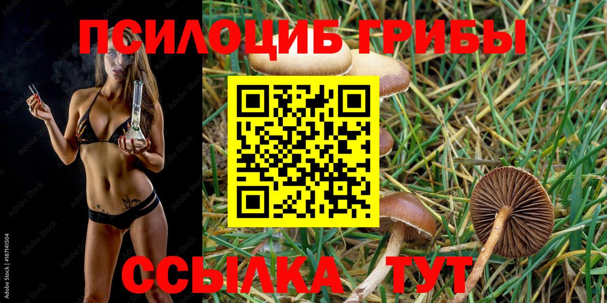 Псилоцибиновые грибы GOLDEN TEACHER  Вход с VPN  Псилоцибиновые грибы Psilocybine cubensis  Лесной 