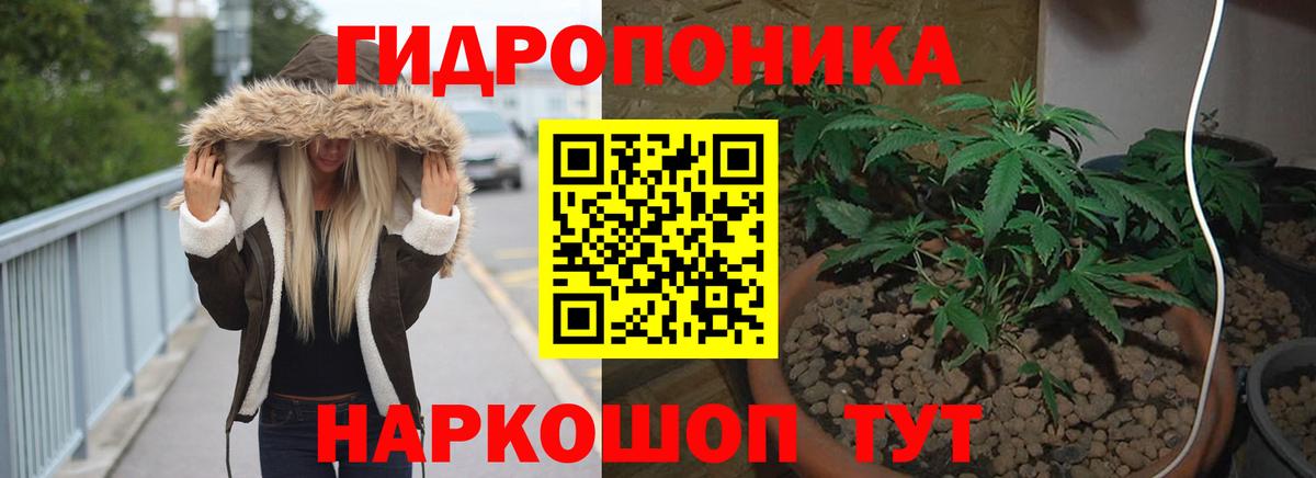Лесной  Бошки Шишки план  Шишки марихуана Bruce Banner  Вход с VPN  Бошки Шишки семена 